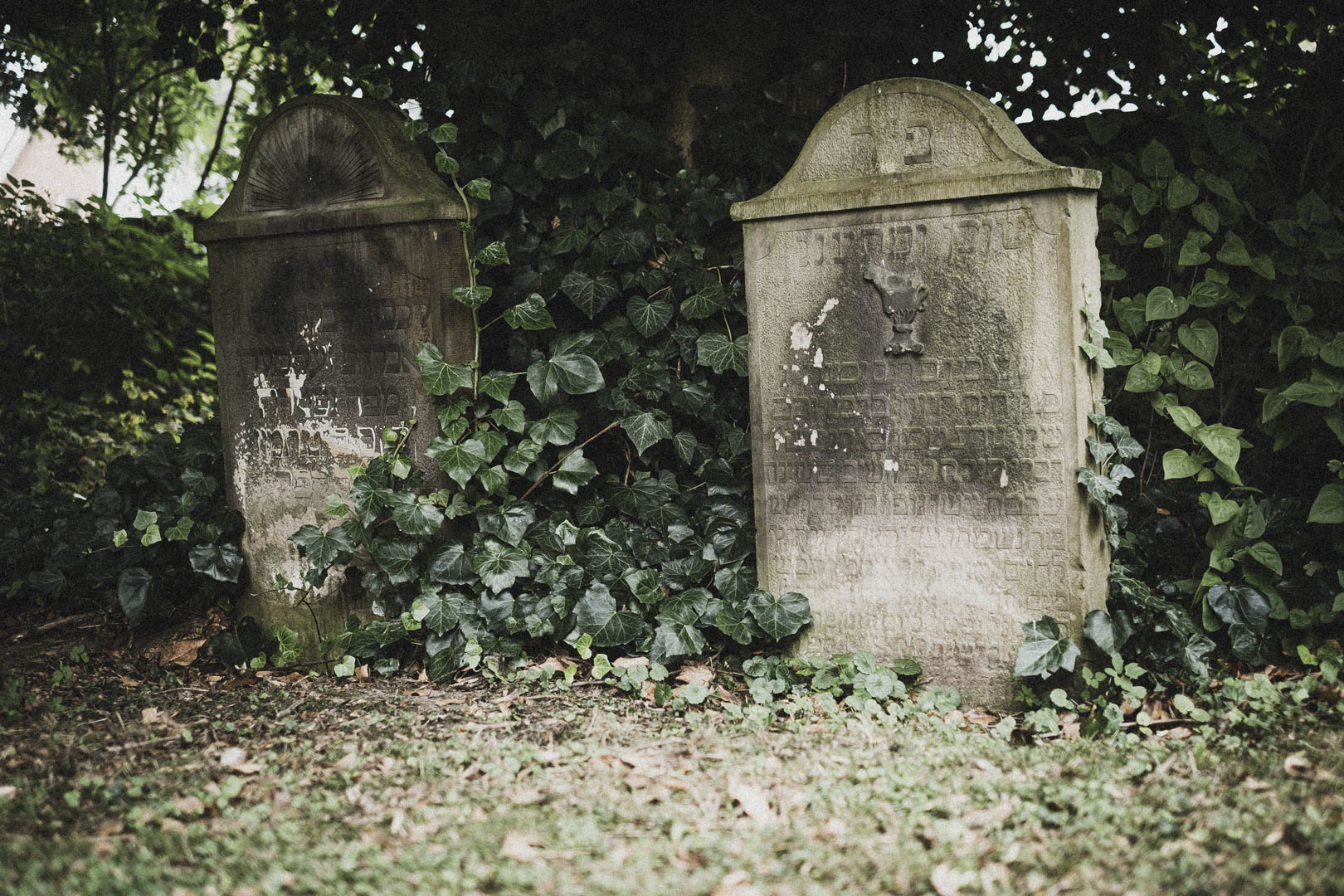 Rinteln, Jüdischer Friehof